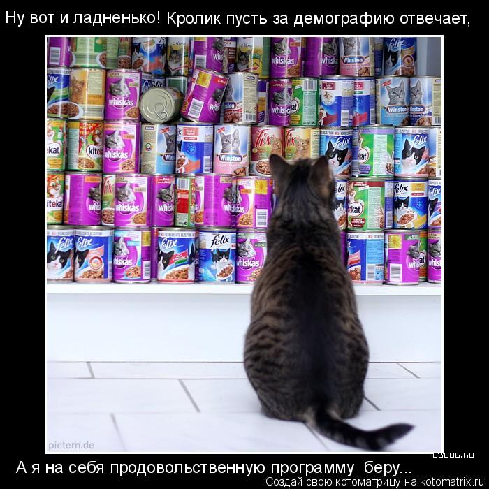 Котоматрица