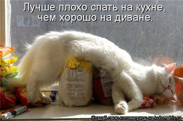 Котоматрица