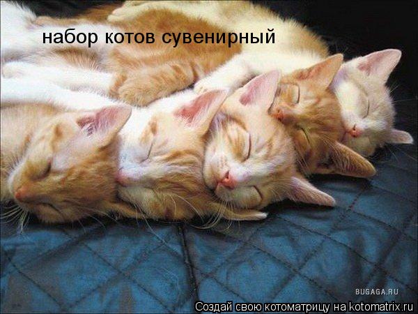 Котоматрица