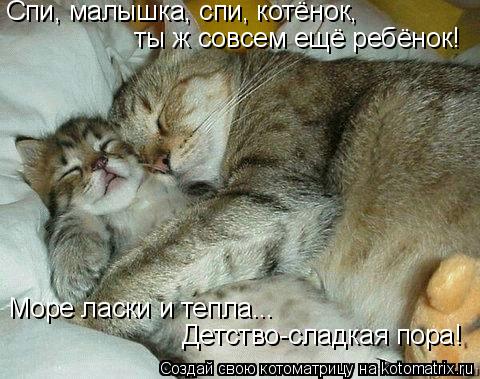 Котоматрица