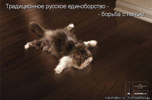 Котоматрица