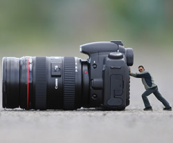 Фотоподборка