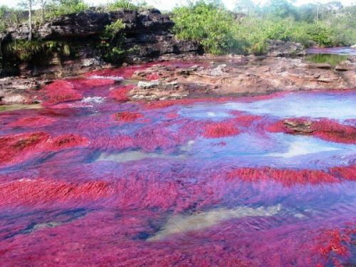 Удивительные водоёмы планеты