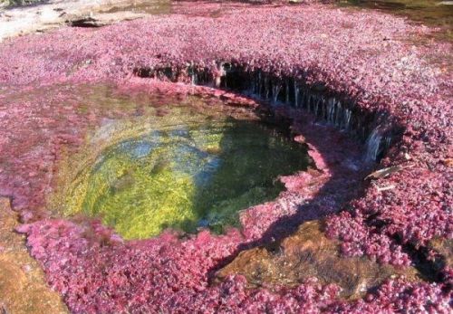 Удивительные водоёмы планеты