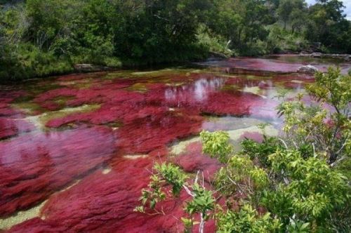 Удивительные водоёмы планеты