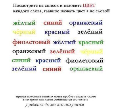 Пища для разума