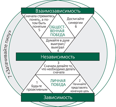 модель 7 навыков высокоэффективных людей