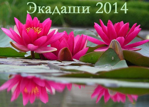 Экадаши 2014