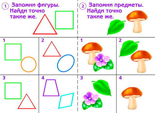 Игра на память и внимание