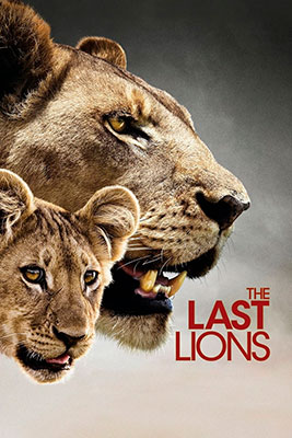 Последние львы / The Last Lions