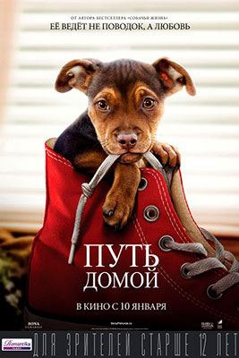 Путь домой / A Dog's Way Home