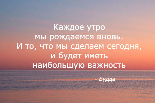 10 цитат о жизнестойкости, которые придадут вам сил в трудные времена