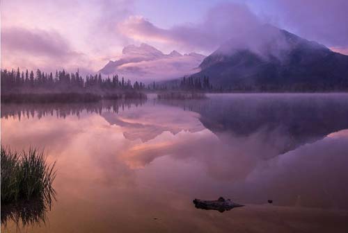 10 лучших снимков National Geographic за 2015 год