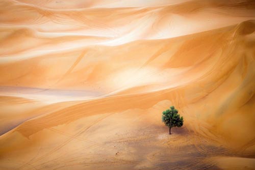 10 лучших снимков National Geographic за 2015 год